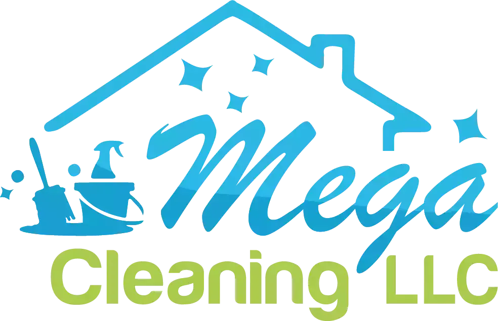 megacleaning